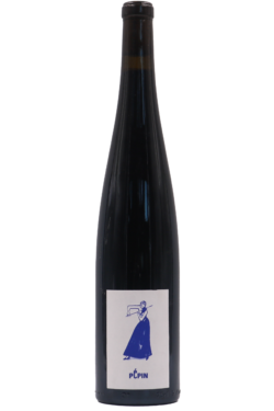 Pinot Noir Pépin - Case 6 bottles